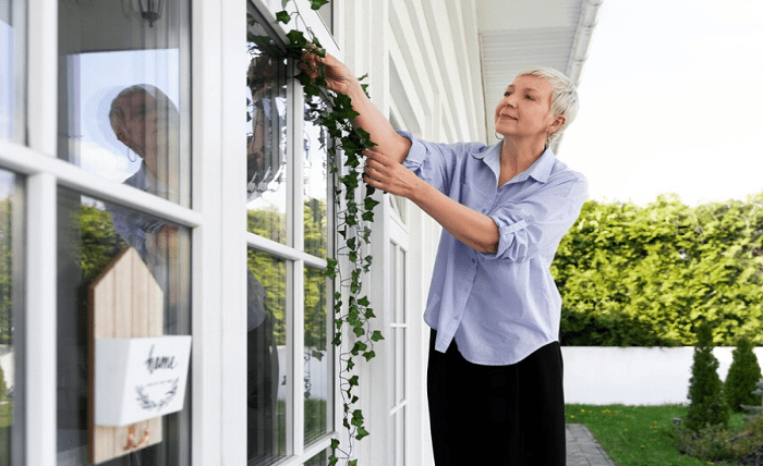 The Energy-Efficient Home: How Window Replacement Can Save You Money Screenshot 8